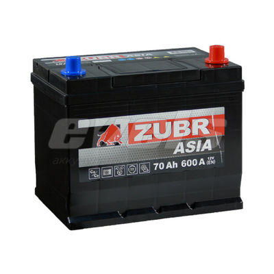 ZUBR Ultra Азия  6ст-70 R+ D26 — основное фото